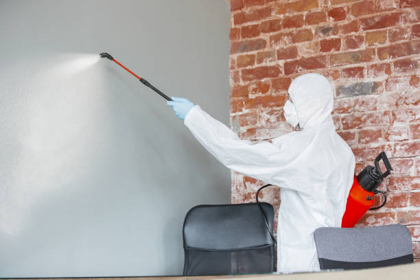 Best Comprehensive Air Testing for Mold Contaminants  in Amelia, OH