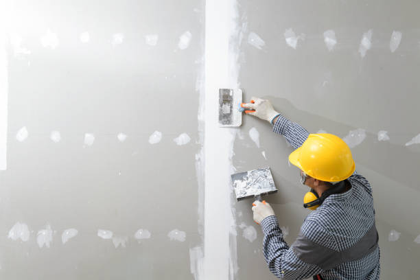 Best Mold-Related Health Consultation  in Amelia, OH