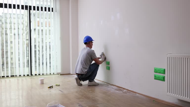 Best Black Mold Removal  in Amelia, OH