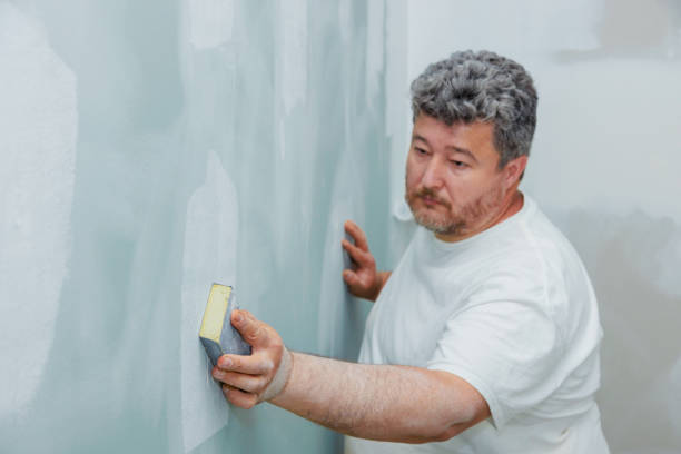 Best Asbestos and Lead Testing During Mold Inspection  in Amelia, OH