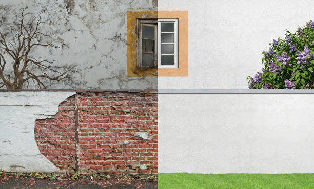 Best Mold Documentation for Insurance Claims  in Amelia, OH