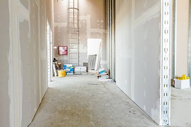 Best HVAC Mold Inspection and Cleaning  in Amelia, OH